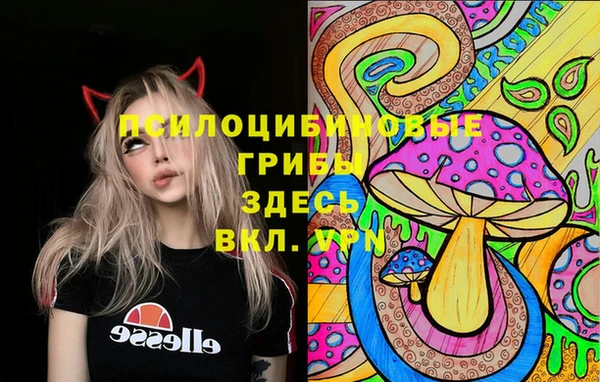 меф Арсеньев