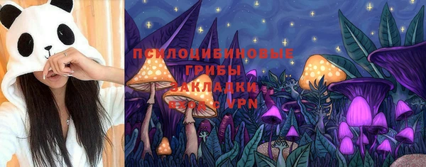 гидропоника Аркадак